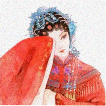 读者夜航的猫的头像